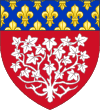 Blason de la ville Amiens